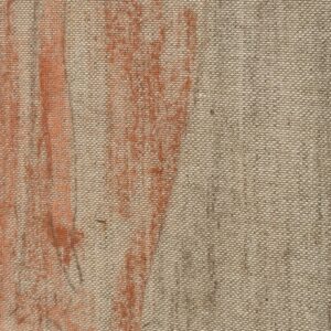 Detail of the pastel drawing and linen texture in The Circle