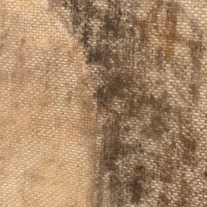 Detail of the pastel chalk and linen texture in Sheltered