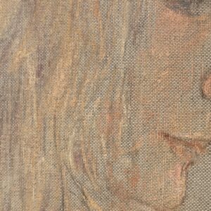 Detail of the face and the linen texture