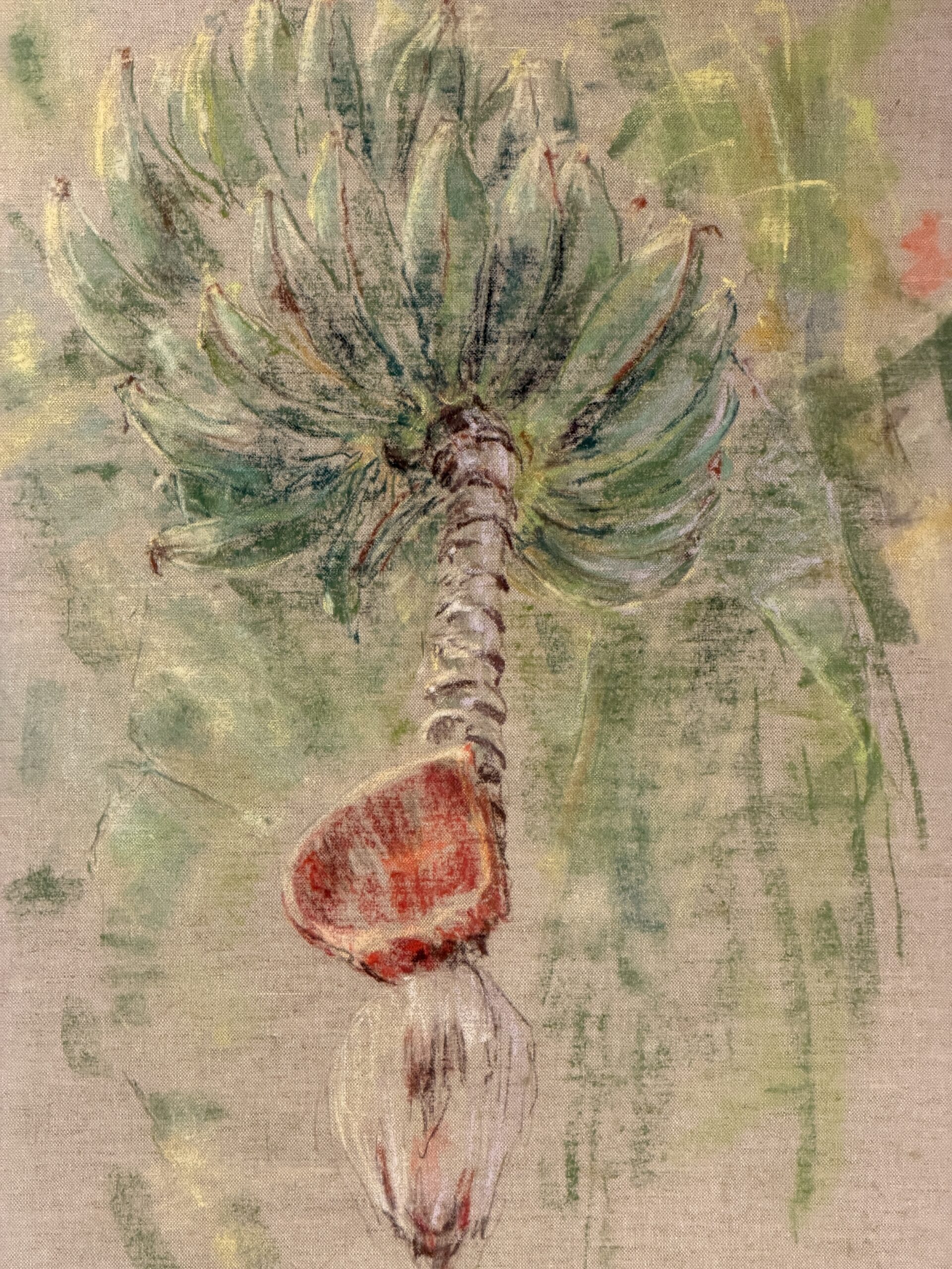 Coconut by Maria de Ruiter-de Witt, full image of the artwork